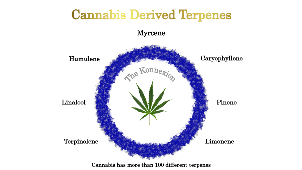 Cannabis Derived Terpenes