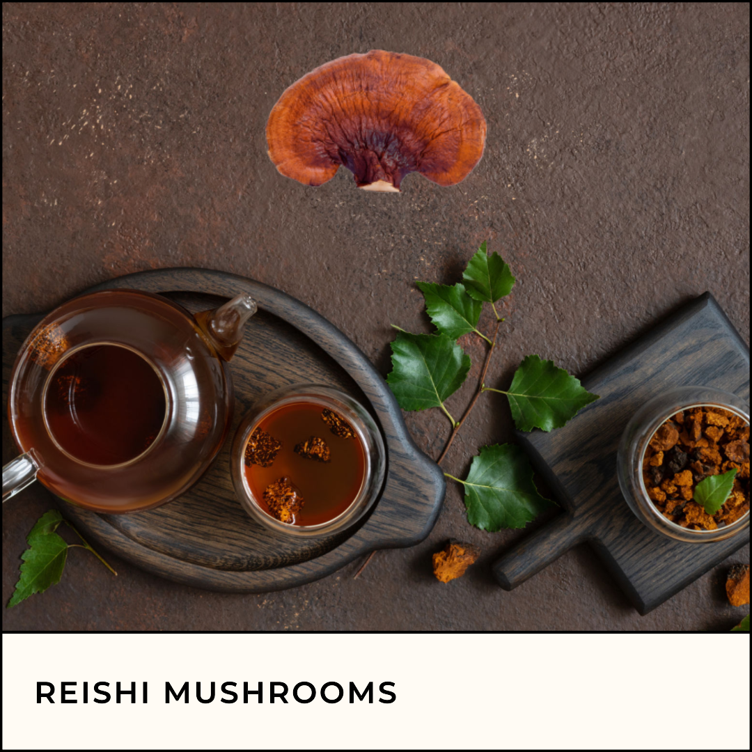 Cooking With Reishi Mushrooms
