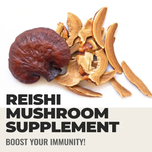 Reishi Mushroom Supplement