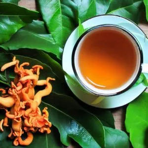 Cordyceps Mushroom Tea