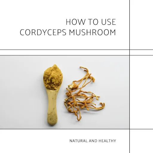 How To Use Cordyceps Mushroom