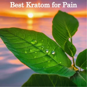 Best Kratom for Pain