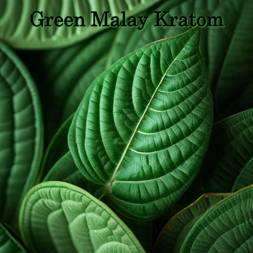 Leaves of Green Malay Kratom